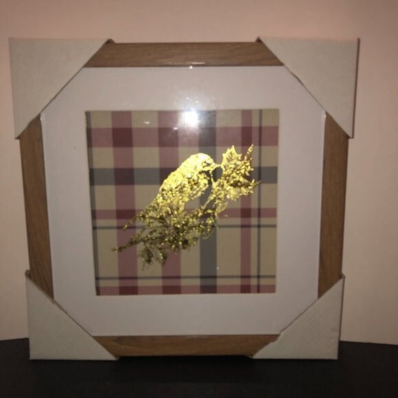 New! Gold Bird Etched Glass Framed Art - Picture 1 of 6